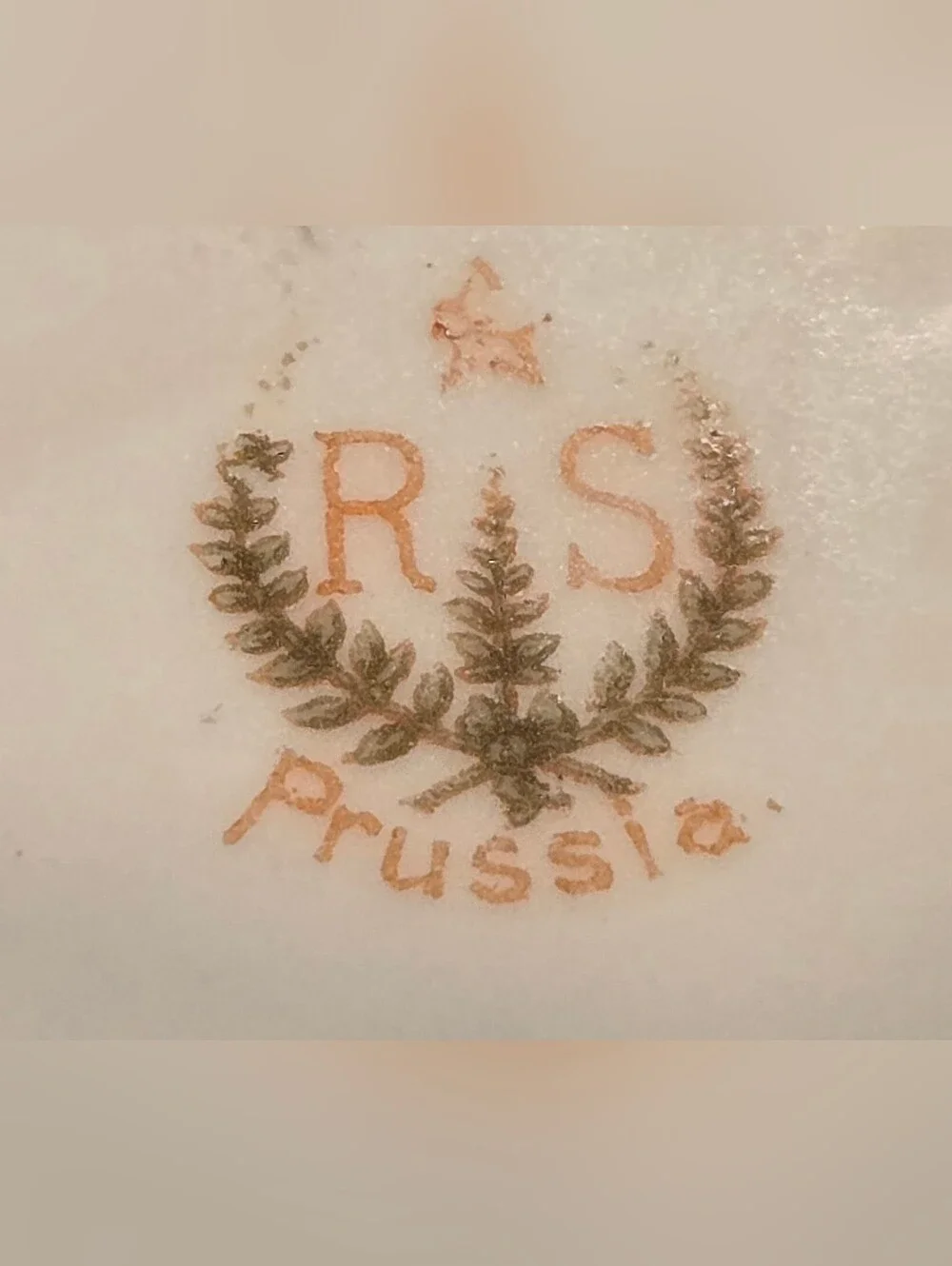 Victorian-Style Porcelain RS Prussia Hair Receiver with Pink Rose Accents